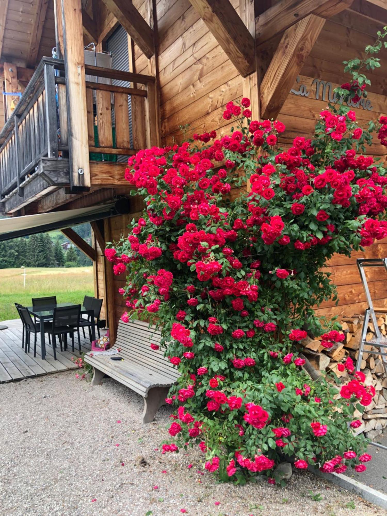 Morzine Appartement 6 Personnes Exterior foto